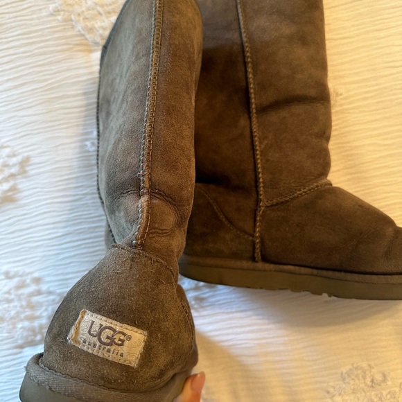 Tall Gray Uggs - Picture 3 of 3